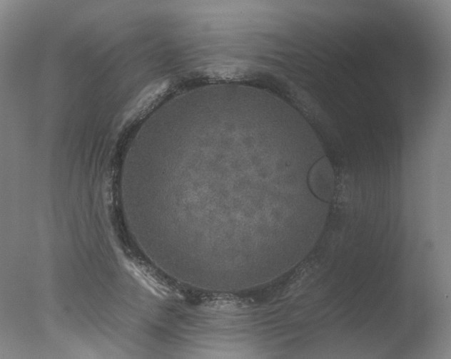 X0000078020738200610271233