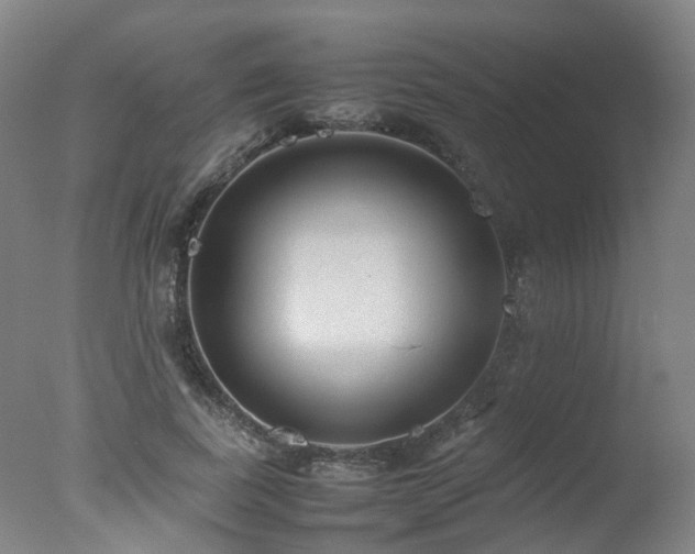 X0000078020739200610271233