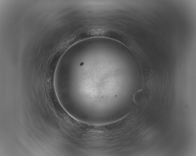 X0000078020743200610271233