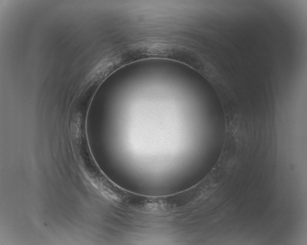 X0000078020744200610271233