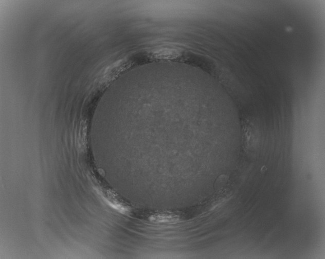 X0000078020745200610271233