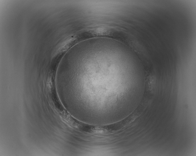 X0000078020746200610271233