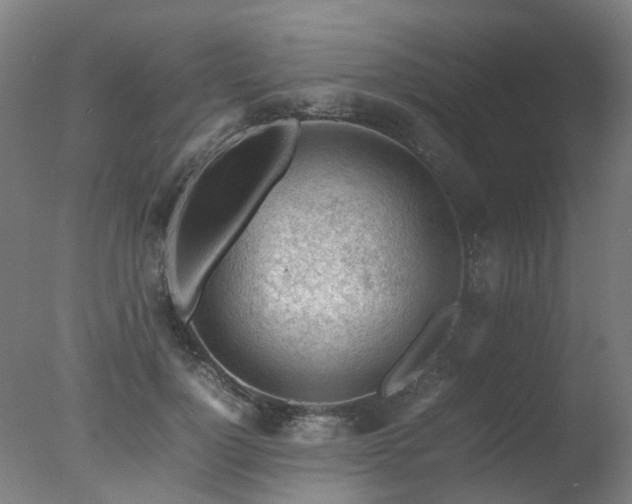 X0000078020748200610271233