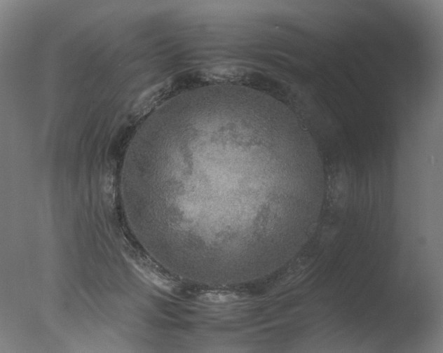 X0000078020749200610271233