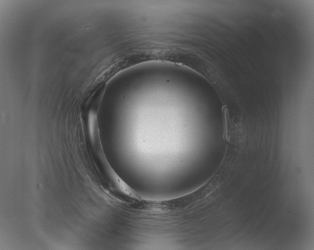 X0000078020750200610271233