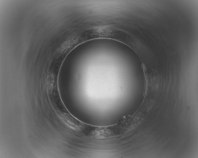 X0000078020752200610271233