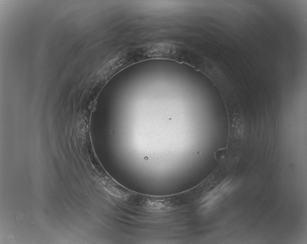 X0000078020753200610271233