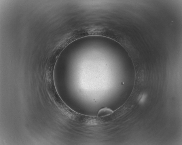 X0000078020755200610271233