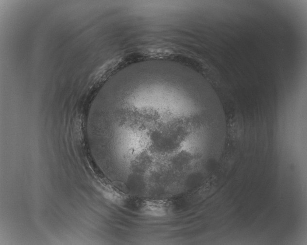 X0000078020757200610271233