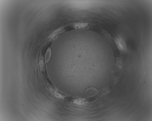 X0000078020761200610271234