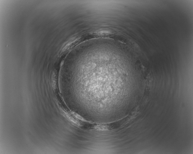 X0000078020762200610271234