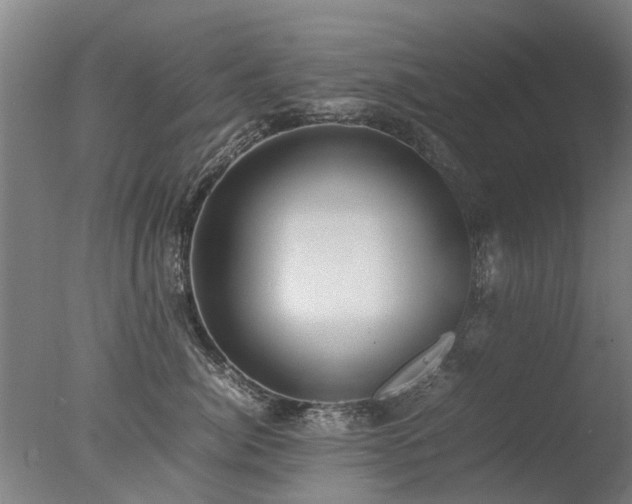 X0000078020764200610271234