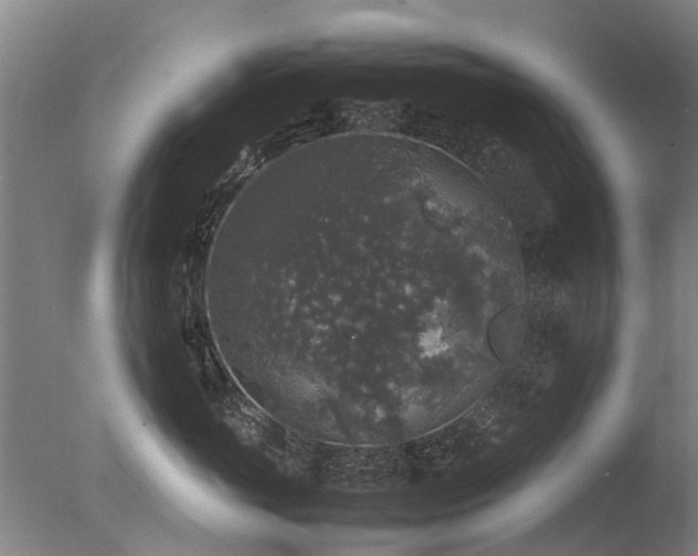 X0000078020765200610271234