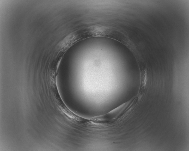 X0000078020766200610271234