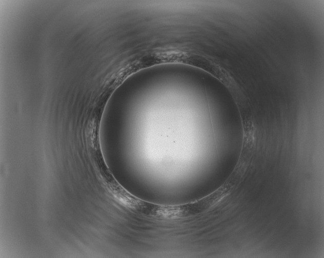 X0000078020767200610271234