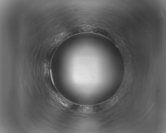 X0000078020768200610271234