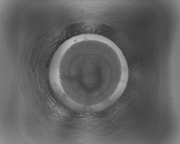 X0000078020769200610271233