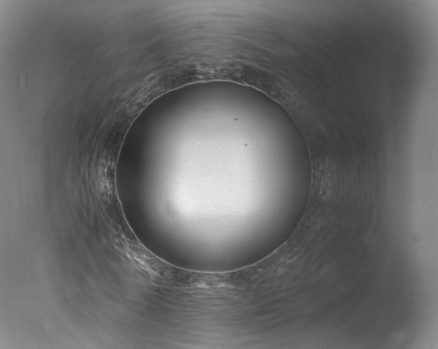 X0000078020770200610271233