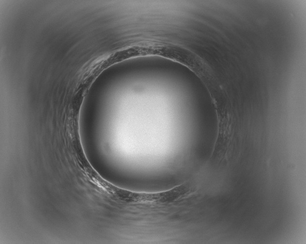 X0000078020773200610271233