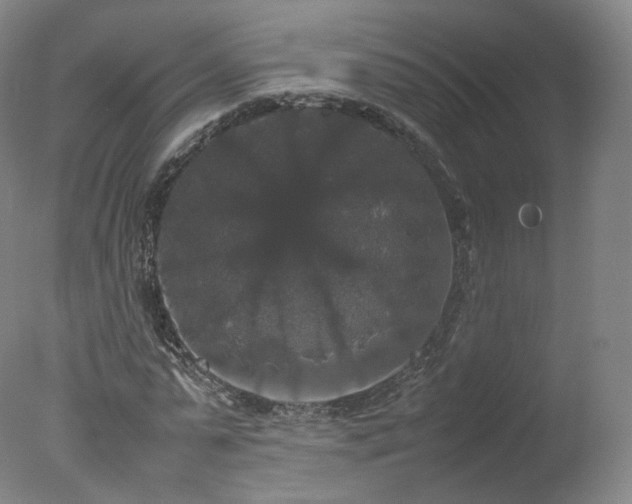 X0000078020775200610271233