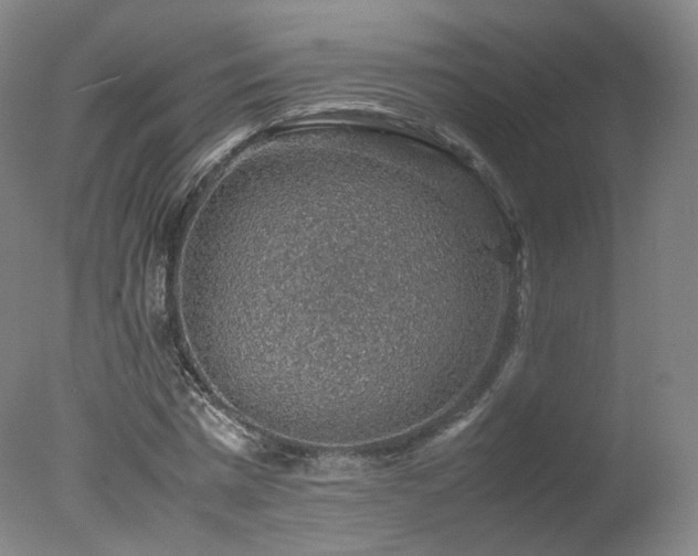 X0000078020777200610271233