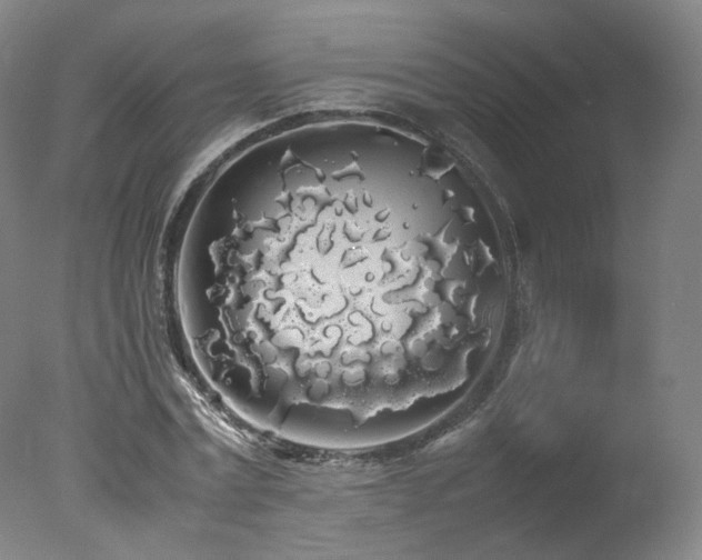 X0000078020779200610271233