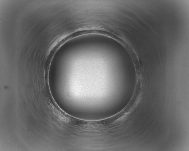 X0000078020781200610271233