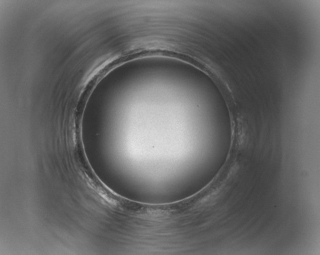 X0000078020782200610271233