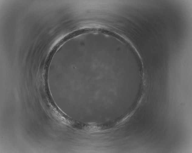 X0000078020783200610271233