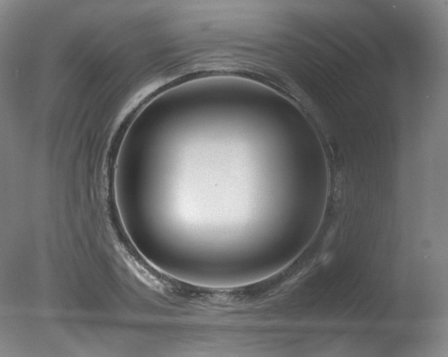 X0000078020787200610271233