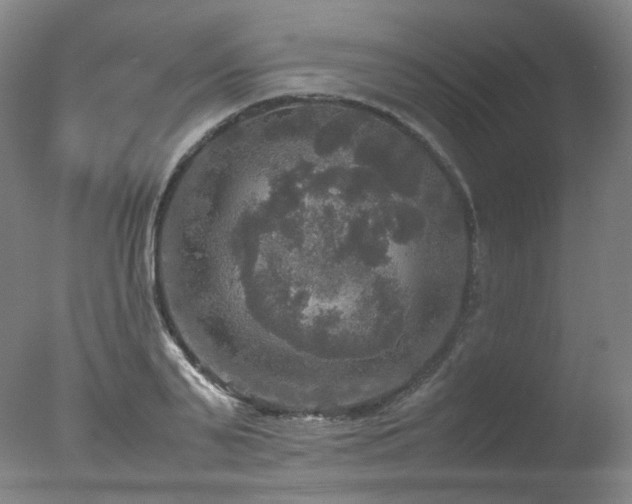 X0000078020791200610271232