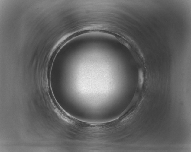 X0000078020792200610271232