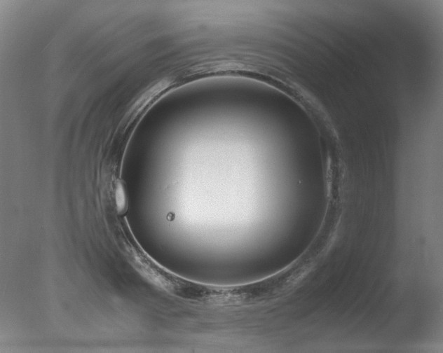 X0000078020793200610271232