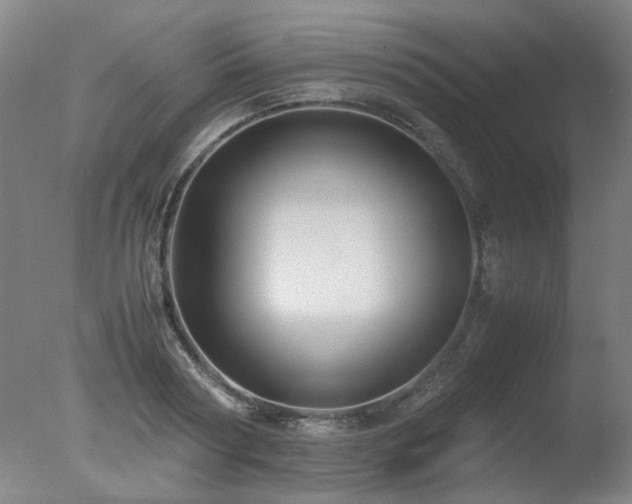 X0000078020794200610271232