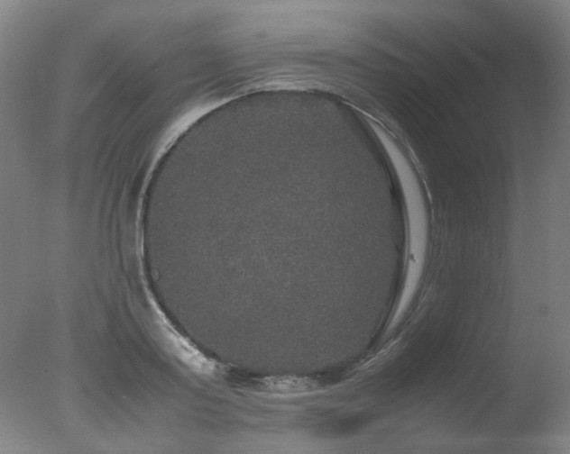 X0000078020795200610271232