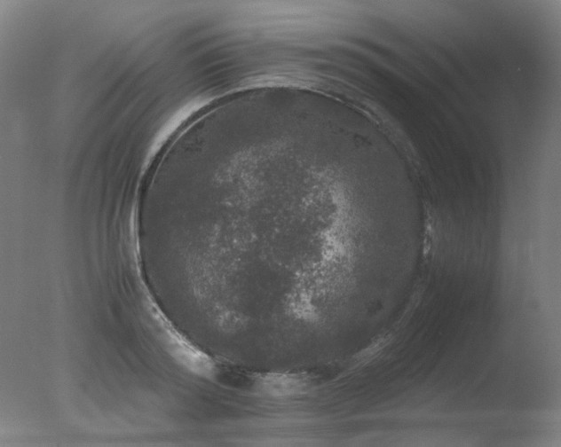 X0000078020796200610271232