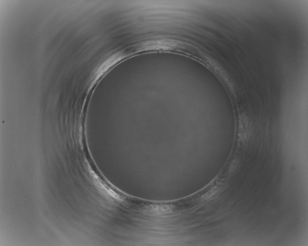 X0000078020802200610271232