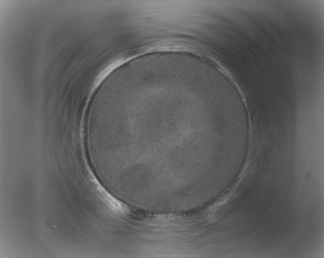 X0000078020803200610271232