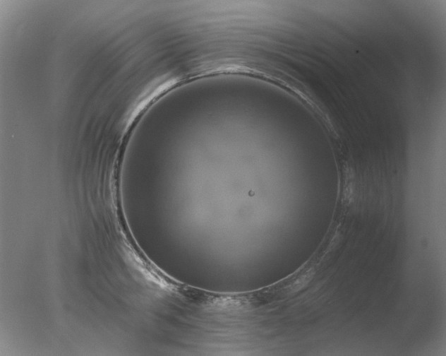 X0000078020806200610271232