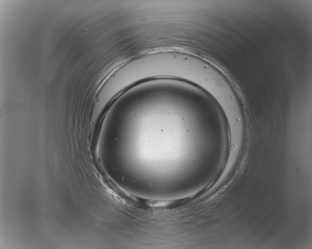 X0000078020809200610271232