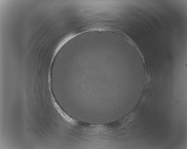 X0000078020811200610271232