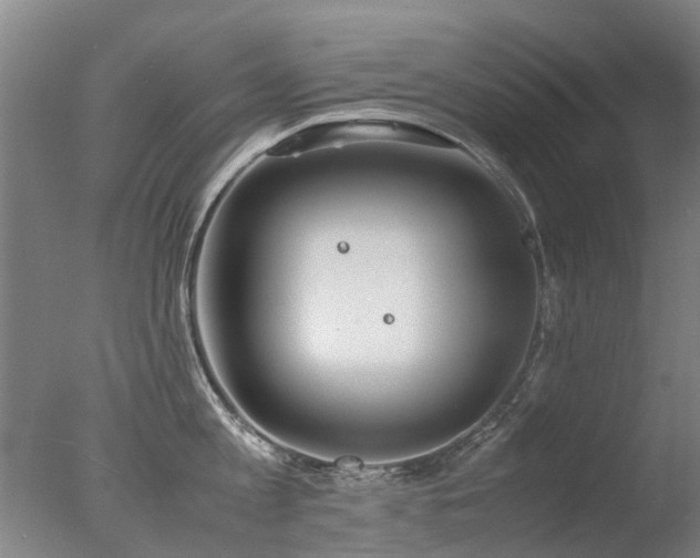 X0000078020813200610271232