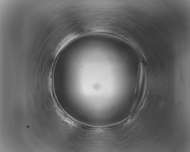 X0000078020814200610271232