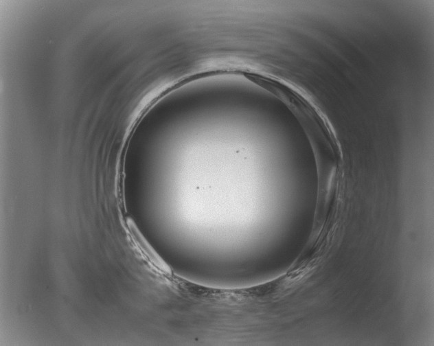 X0000078020815200610271232