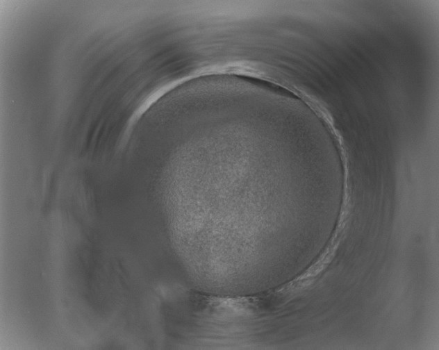 X0000078020816200610271232