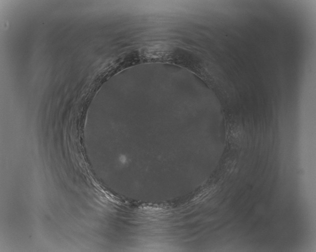 X0000078020817200610271231