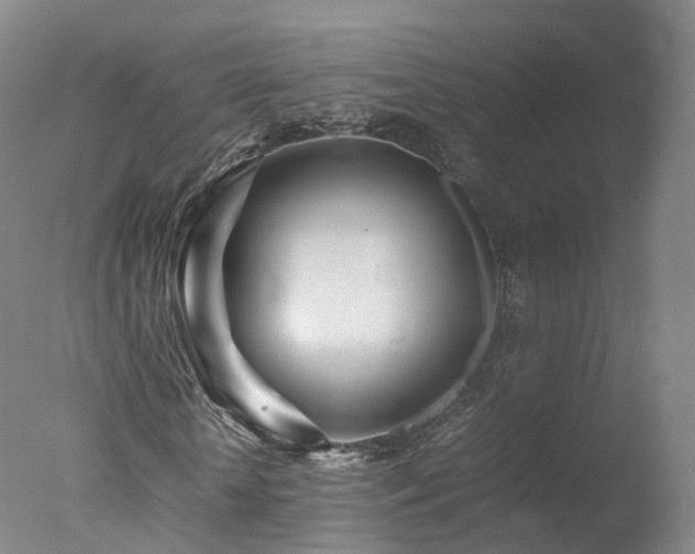 X0000078020818200610271231