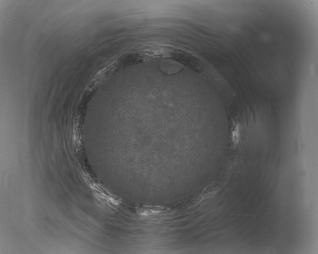 X0000078020819200610271231