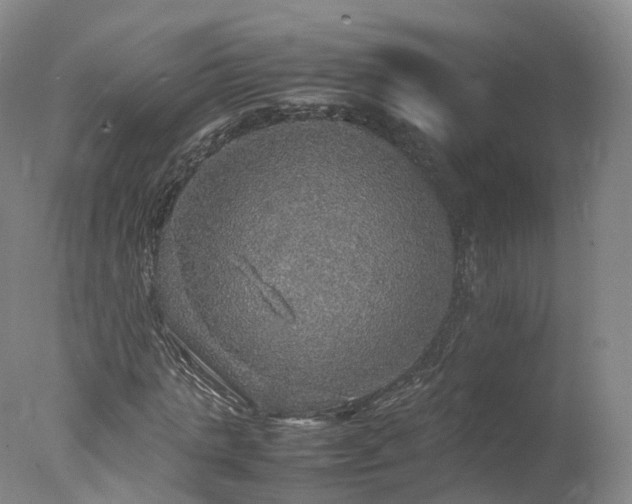 X0000078020821200610271231