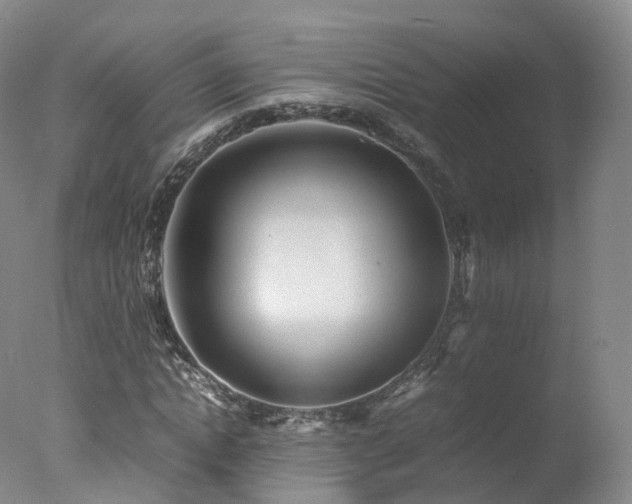 X0000078020822200610271231